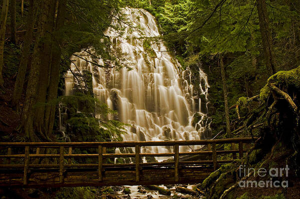 Pacific Poster featuring the photograph Ramona Falls by Nick Boren