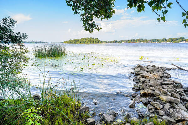 Dnieper Poster featuring the photograph Reeds and Dnieper River #1 by Alain De Maximy