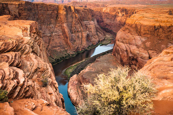 America Poster featuring the photograph River Through Horseshoe Bend #1 by Gregory Ballos