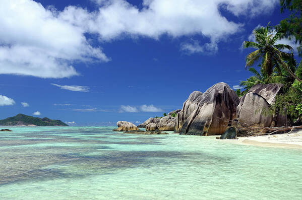 Tropical Tree Poster featuring the photograph Seychelles Seascape #1 by Alxpin