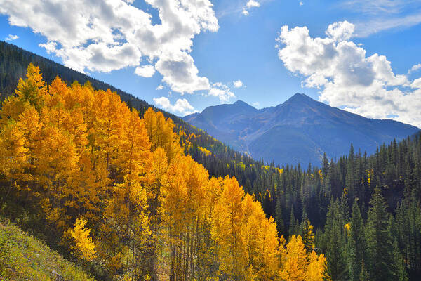 Colorado Poster featuring the photograph Silverton Fall Colors #2 by Ray Mathis