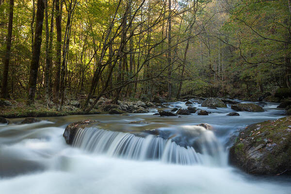 Water Poster featuring the photograph Middle Prong Little River by Doug McPherson