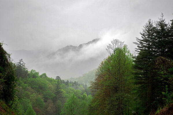 Lawrence Poster featuring the photograph Smoky Mountains by Lawrence Boothby