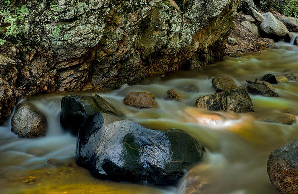 Brooks Poster featuring the photograph Softly Flowing Brook by Tim Reaves