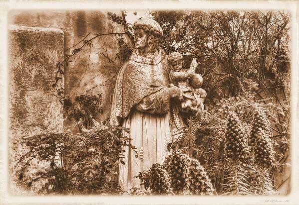 California Poster featuring the photograph Statue of Saint Francis in the Gardens of the Carmel Mission Forecourt Carmel-by-the-Sea California #1 by Michael Mazaika