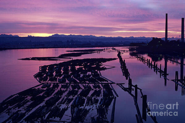 Canal Poster featuring the photograph Sunrise Lumber Mill #1 by Jim Corwin