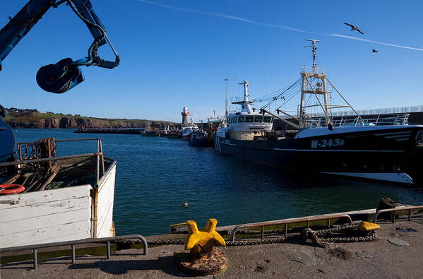 Photography Poster featuring the photograph The Fishing Harbour, Dunmore East #1 by Panoramic Images