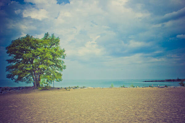 Beach Poster featuring the photograph Tranquility #1 by Sara Frank