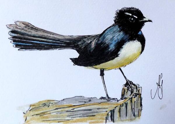  Poster featuring the painting Willy Wagtail by Anne Gardner