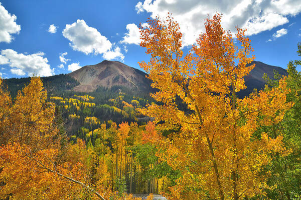 Colorado Poster featuring the photograph Red Mountain Pass Fall Colors #29 by Ray Mathis