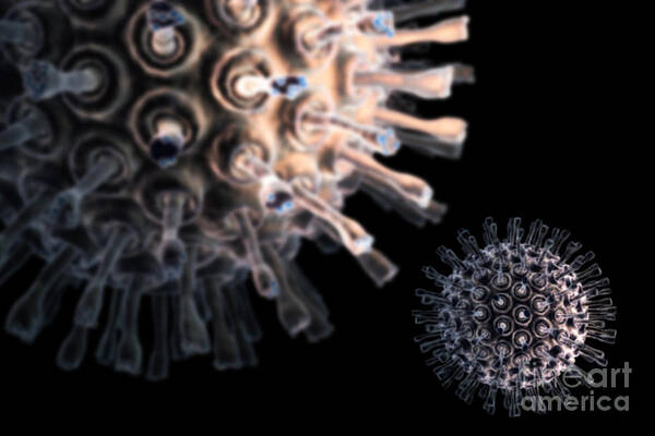 Infection Poster featuring the photograph Virus Particles #11 by Science Picture Co