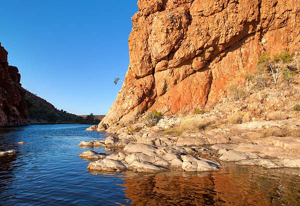 Glen Helen Gorge Outback Landscape Central Australia Water Hole Northern Territory Australian West Mcdonnell Ranges Poster featuring the photograph Glen Helen Gorge #15 by Bill Robinson