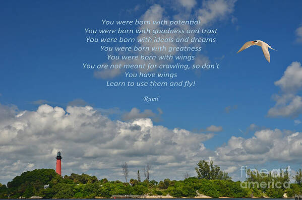 Rumi Poster featuring the photograph 123- Rumi by Joseph Keane