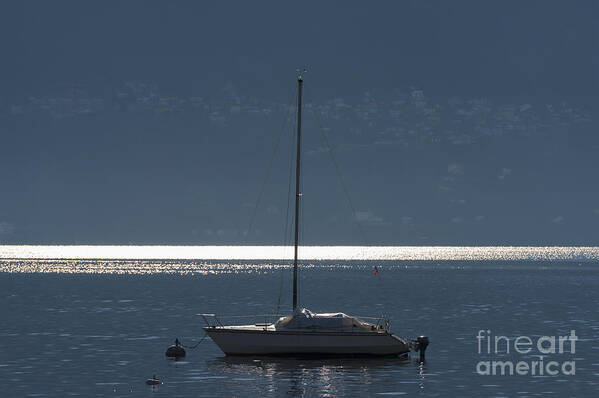 Sailing Boat Poster featuring the photograph Sailing boat #14 by Mats Silvan