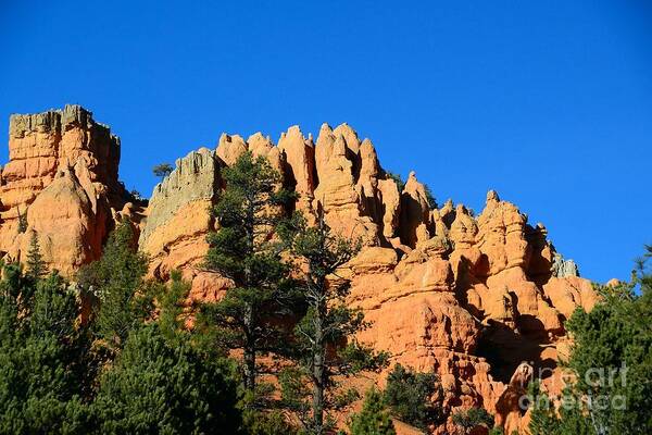 Red Canyon Poster featuring the photograph Red Canyon #15 by Marc Bittan