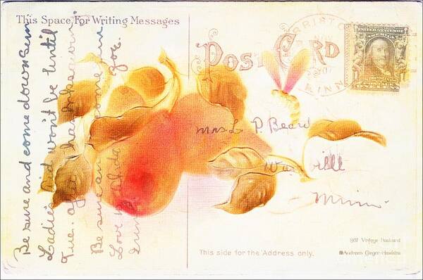 1907 Poster featuring the photograph 1907 Vintage Pears Postcard by Audreen Gieger