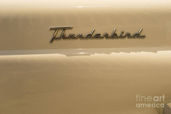 Transportation Poster featuring the photograph 1956 Ford Thunderbird DSC1396 by Wingsdomain Art and Photography