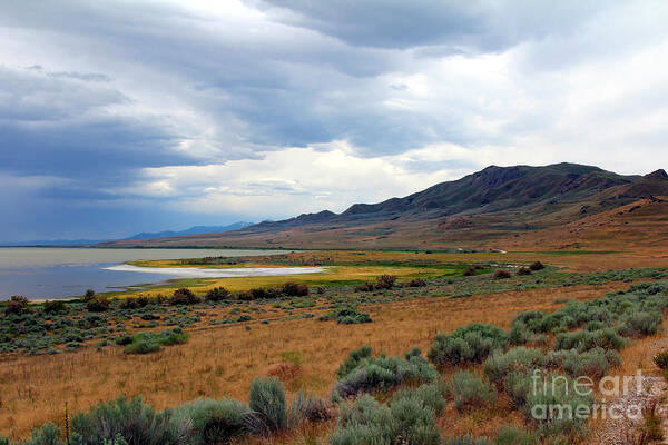 Landscape Poster featuring the photograph Antelope Island by Jemmy Archer