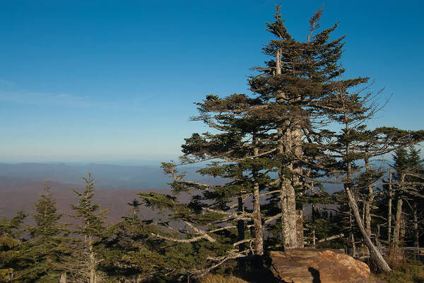 View Poster featuring the photograph Appalachian Mountains from Mount Mitchell #2 by Alex Grichenko