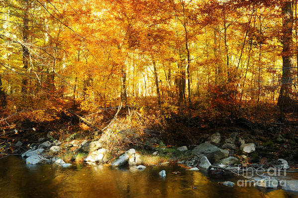 Sunset Poster featuring the photograph Autumn Stream #1 by HD Connelly