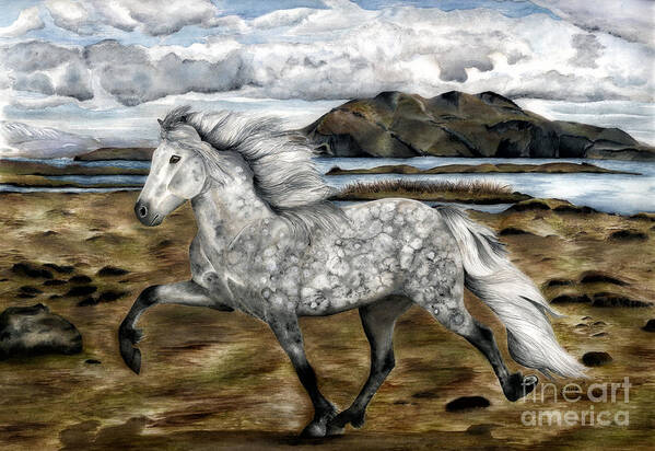 Icelandic Horse Poster featuring the painting Charismatic Icelandic Horse by Shari Nees