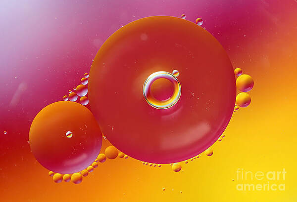 Cool Poster featuring the photograph Colorful Circles #2 by Darren Fisher