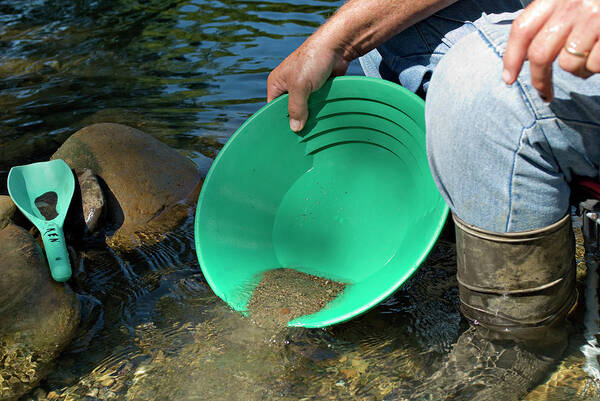 Equipment Poster featuring the photograph Gold Panning #2 by Matt Meadows/science Photo Library