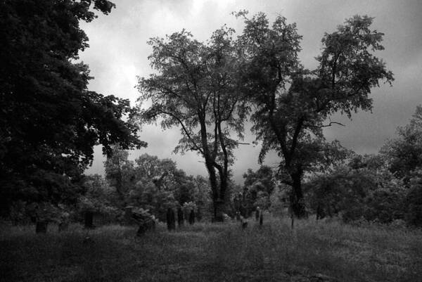 Graveyard Poster featuring the photograph Graveyard 1 by Joyce Wasser