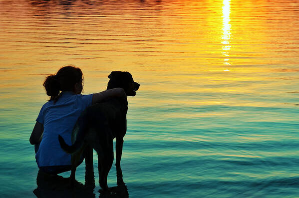 Dog Poster featuring the photograph Island by Laura Fasulo