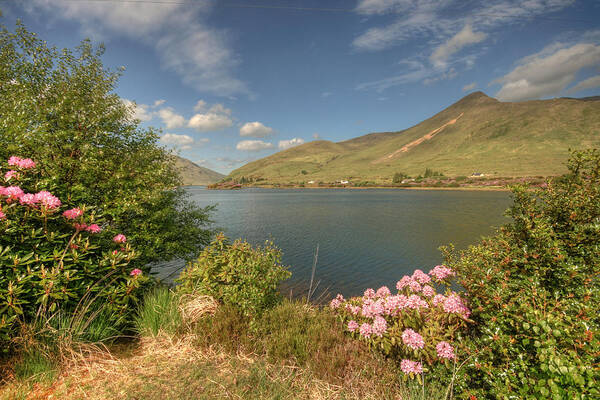 Beautiful Ireland Poster featuring the photograph Killary Harbor View #2 by John Quinn