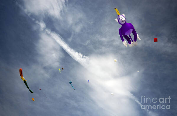 Kite Poster featuring the photograph Kites On The Sky #2 by Ang El