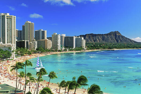 Photography Poster featuring the photograph Palm Trees On The Beach, Diamond Head #2 by Panoramic Images