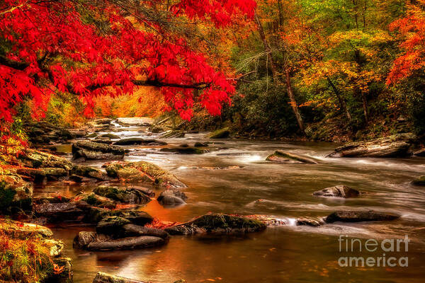 Ncrivers Poster featuring the photograph Soothing Red Creek #2 by Deborah Scannell