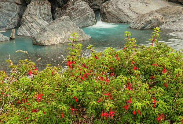 Cathy And Gordon Illg Poster featuring the photograph South America, Chile, Patagonia #2 by Jaynes Gallery