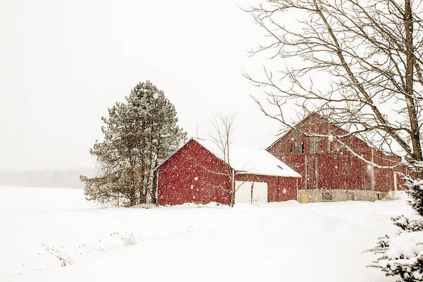 Canada Poster featuring the photograph The red barn #2 by Nick Mares