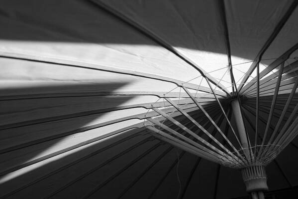 Umbrella Poster featuring the photograph Umbrella #2 by PIXELS XPOSED Ralph A Ledergerber Photography