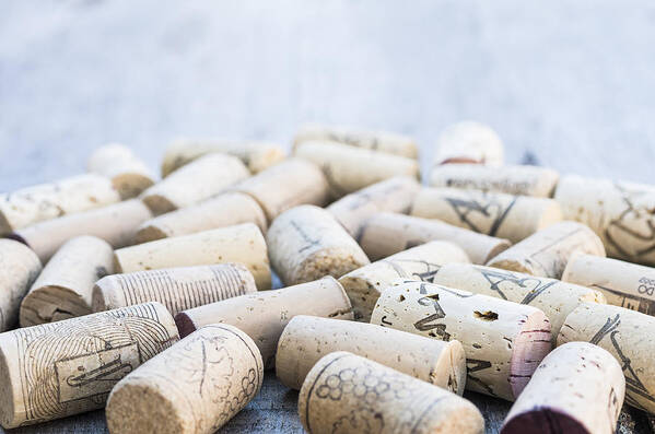 Alcohol Poster featuring the photograph Wine corks #2 by Paulo Goncalves