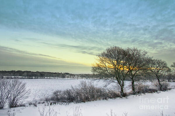 Sweden Poster featuring the photograph Winter Sunrise #2 by Antony McAulay