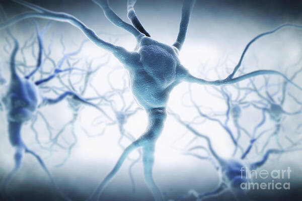 Digitally Generated Image Poster featuring the photograph Neurons #20 by Science Picture Co