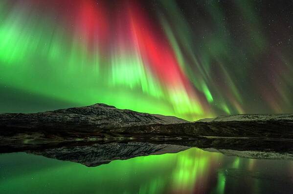 Nobody Poster featuring the photograph Aurora Borealis #24 by Tommy Eliassen