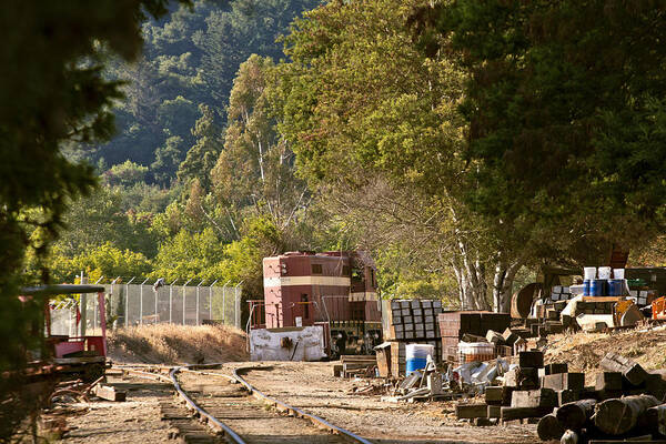 Locomotive Poster featuring the photograph 2600 June Afternoon by Larry Darnell