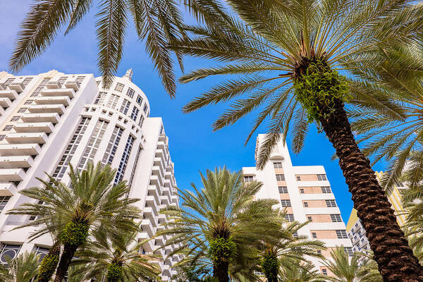 Architecture Poster featuring the photograph Miami Beach #27 by Raul Rodriguez