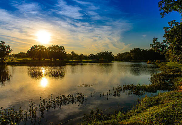 Pond Poster featuring the photograph Berry Creek pond #3 by John Johnson