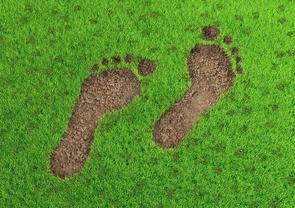 Artwork Poster featuring the photograph Carbon footprint, conceptual artwork #3 by Science Photo Library