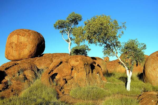 Geology Poster featuring the photograph Devil's Marbles #3 by Bildagentur-online/mcphoto-schulz