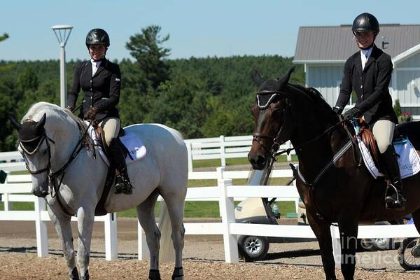 Equestrian Poster featuring the photograph Jumper42 #3 by Janice Byer