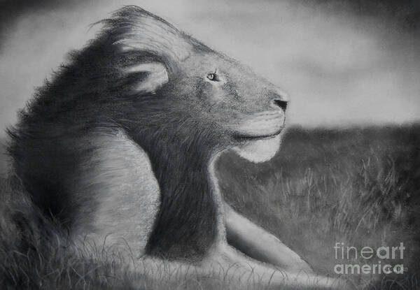 Savanna Poster featuring the pastel Panthera Leo #3 by Julio Haro