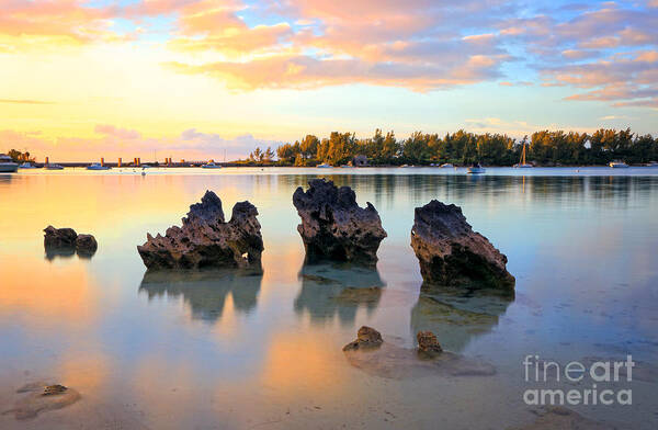 Bermuda Poster featuring the photograph Tranquil Beach #3 by Charline Xia