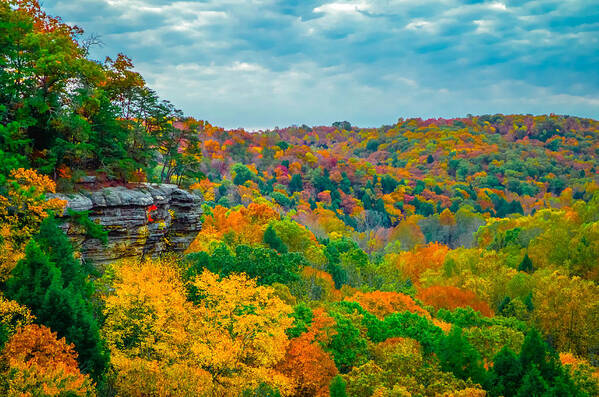 Ohio Poster featuring the photograph Conkle's Hollow #37 by Brian Stevens