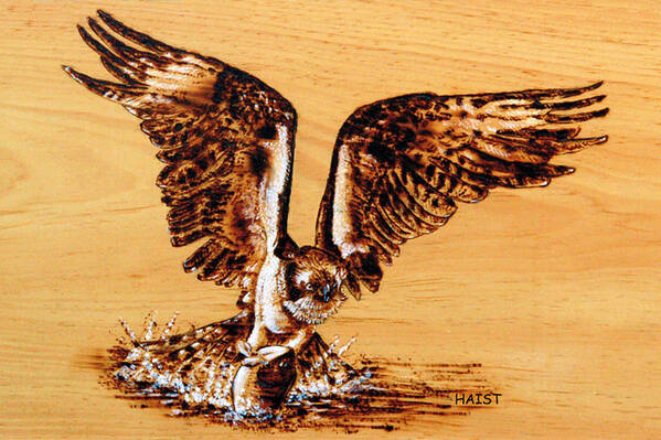 Bird Poster featuring the pyrography Osprey #4 by Ron Haist